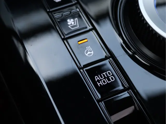 Kia Niro EV ExecutiveLine 64.8 kWh 2022 Elektrisch 76
