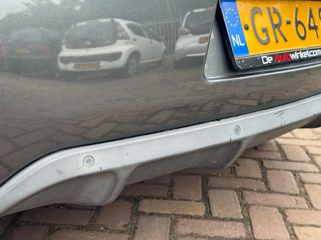 DS DS 3 1.2 PureTech Business 2015 Benzine 24