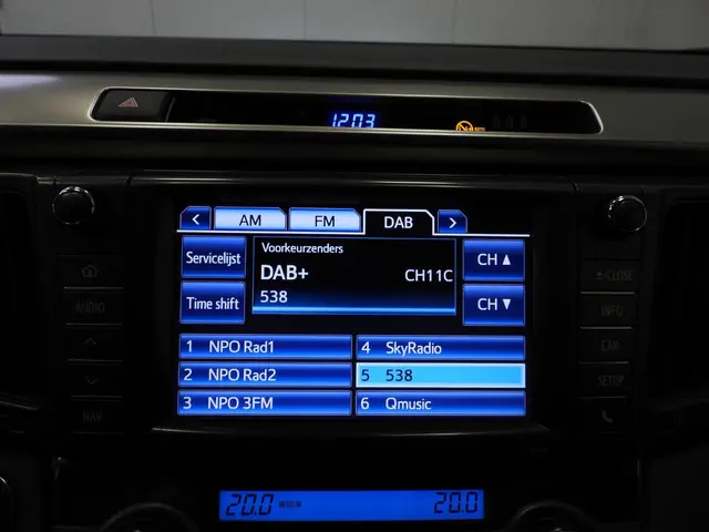 Toyota RAV4 2.0 Executive Business 4WD 2014 Benzine 9