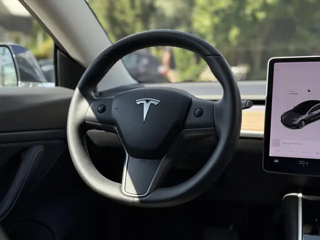 Tesla Model 3 Long Range AWD Dual 2019 Elektrisch 17