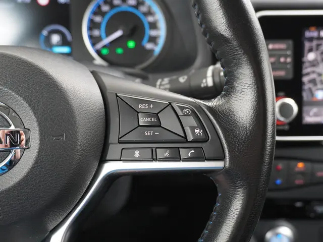 Nissan Leaf Acenta 40 kWh 2019 Elektrisch 26