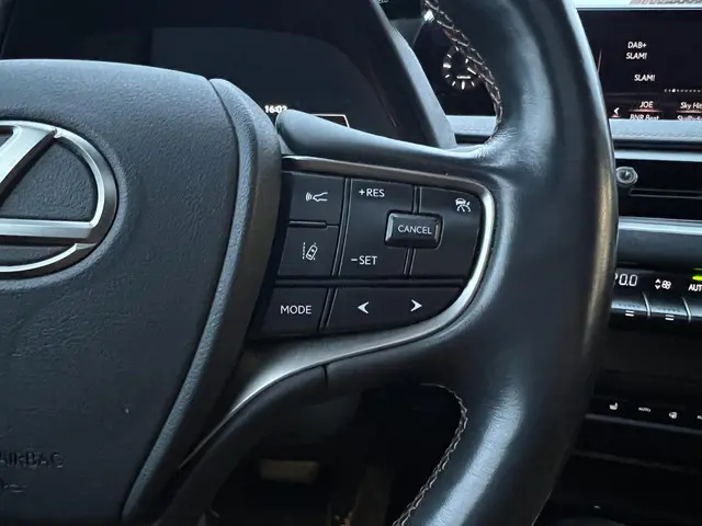 Lexus UX 300e Executive 54 kWh 2020 Elektrisch 13