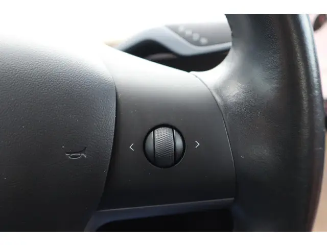 Tesla Model 3 Performance AWD 75 kWh 2019 Elektrisch 23