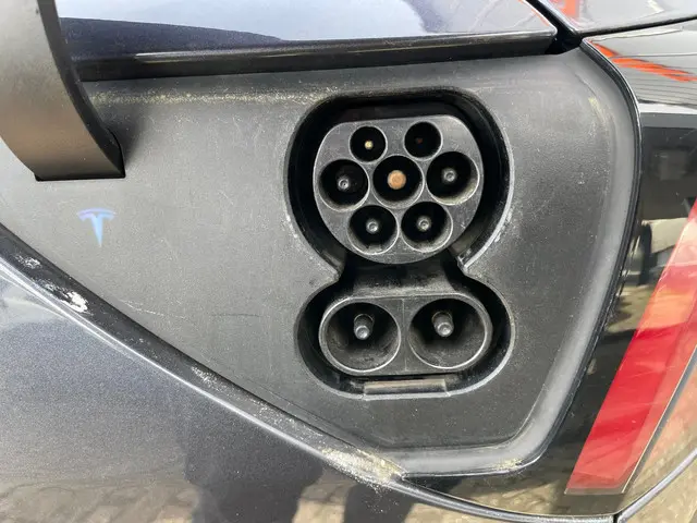 Tesla Model 3 Standard RWD Plus 60 kWh 2019 Elektrisch 19