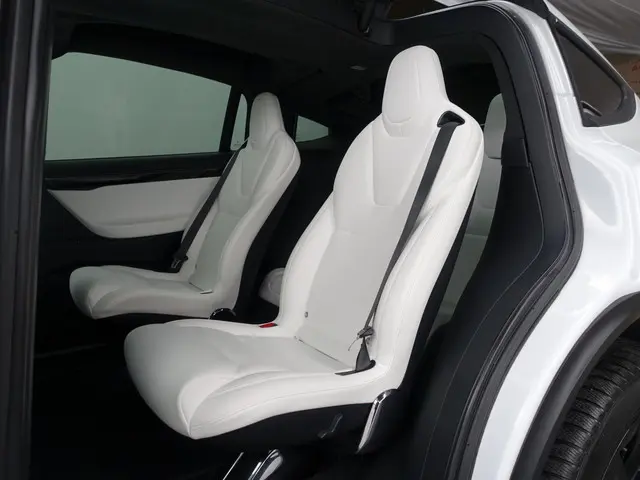 Tesla Model X Long Range Black Pack- 2019 Elektrisch 26