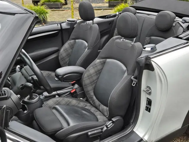 MINI Cooper S Cabrio 2.0 COOPER S Chili 2019 Benzine 5