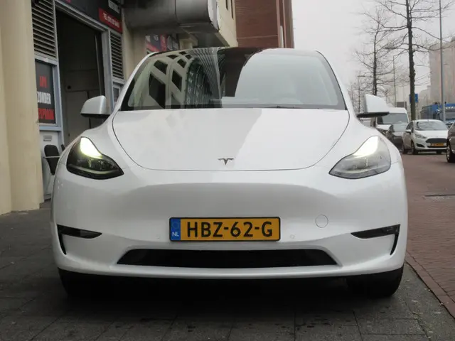 Tesla Model Y Long Range AWD 75 kWh 2021 Elektrisch 6