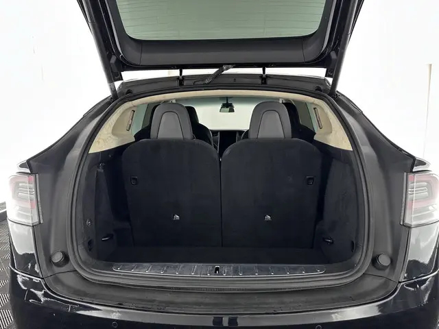 Tesla Model X 100D AWD [ 6-pers ] [ 3-Fase ] 2018 Elektrisch 11