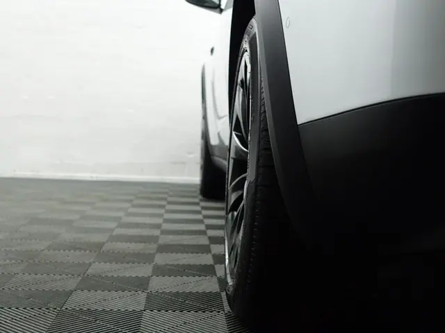 Tesla Model X Long Range Black Pack- 2019 Elektrisch 35