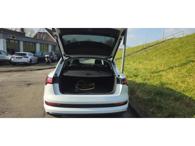 Audi e-tron 50 quattro S edition 71 kWh 2022 Elektrisch 22
