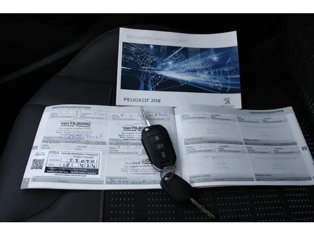 Peugeot 208 1.2 PureTech 110 Pk GT-line 2018 Benzine 25