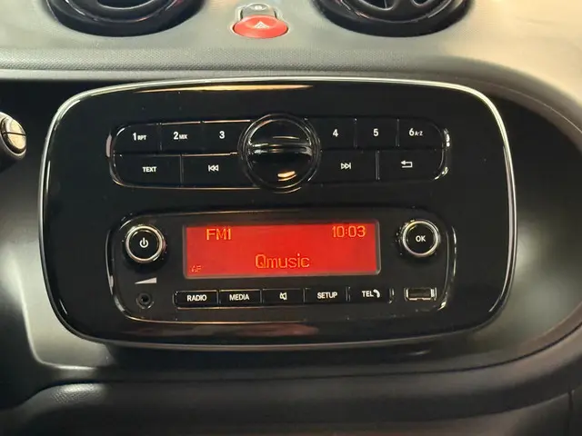 Smart Forfour EQ Essential 18 kWh 2022 Elektrisch 24