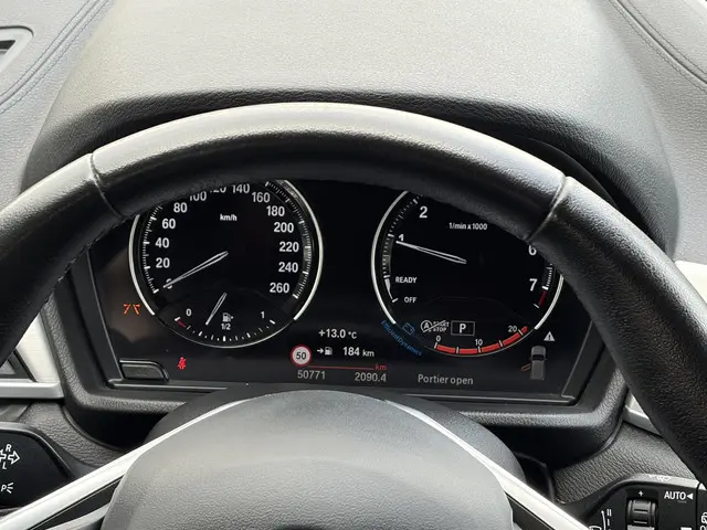 BMW X2 sDrive18i High Executive 2019 Benzine 31