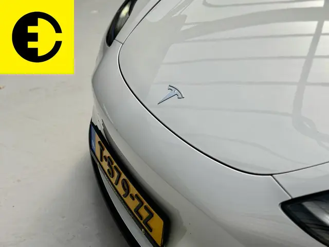 Tesla Model 3 Standard RWD Plus 60 kWh 2021 Elektrisch 9