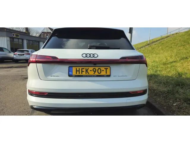 Audi e-tron 50 quattro S edition 71 kWh 2022 Elektrisch 6