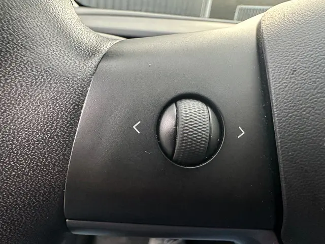 Tesla Model 3 Standard RWD Plus 60 kWh 2019 Elektrisch 17