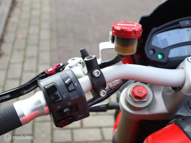 Ducati Monster 1100 EVO 2013 Benzine 9