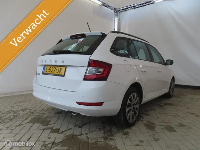 Škoda Fabia Combi 1.0 TSI Business Edition 2021 Benzine 2