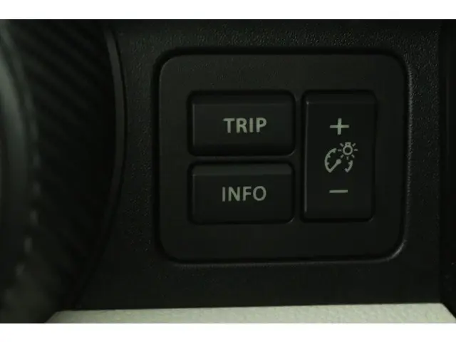 Suzuki Ignis 1.2 Stijl 2020 Benzine 31