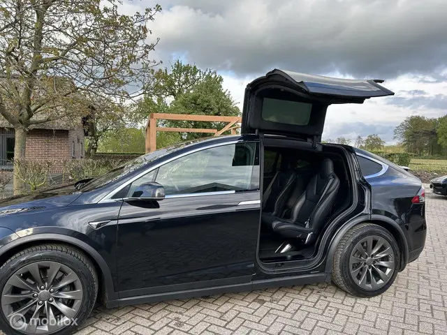 Tesla Model X 100D 6-pers. 2017 Elektrisch 6
