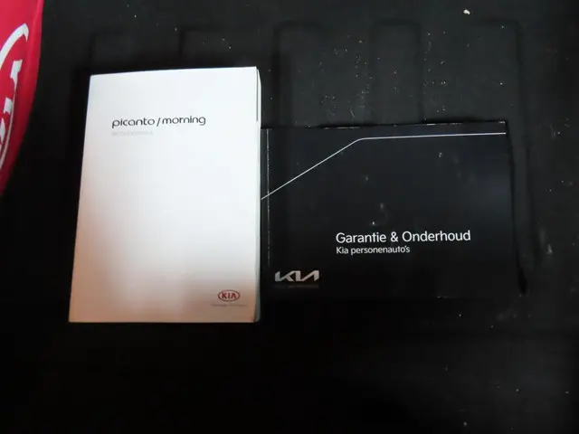Kia Picanto 1.0 DPi DynamicLine 2021 Benzine 11