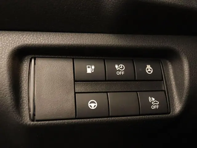 Nissan Leaf e+ Tekna 62 kWh 2019 Elektrisch 22