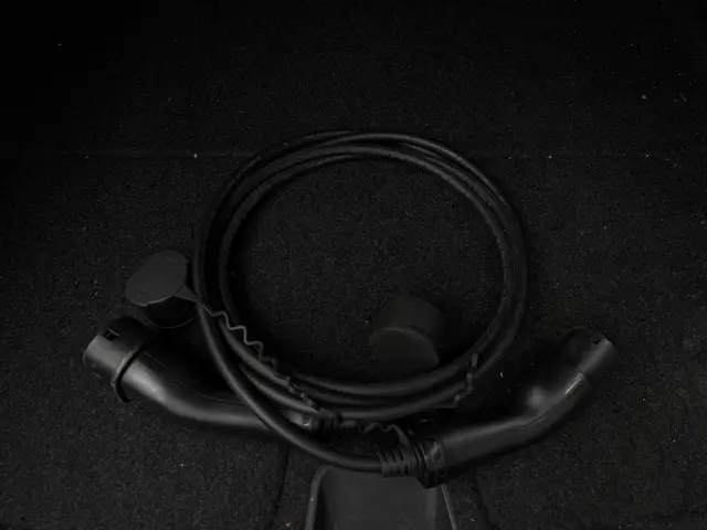 Polestar 2 Long Range Dual Motor AWD 2021 Elektrisch 10