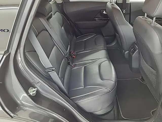 Kia e-Niro ExecutiveLine 64 kWh 2020 Elektrisch 7