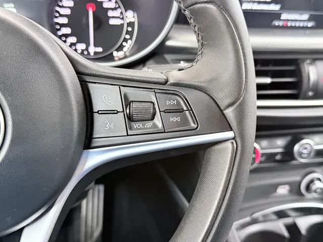 Alfa Romeo Stelvio 2.0 T AWD Super 2019 Benzine 31