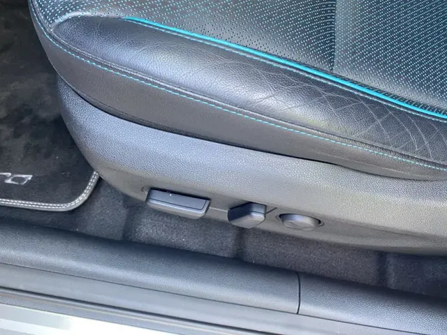 Kia e-Niro ExecutiveLine 2019 Elektrisch 14