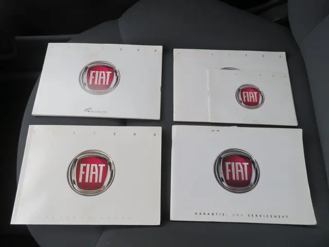 Fiat 500 1.2 Naked 2008 Benzine 19