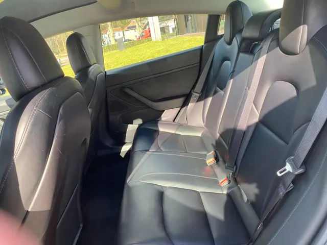 Tesla Model 3 Long Range AWD 75 kWh 2019 Elektrisch 16