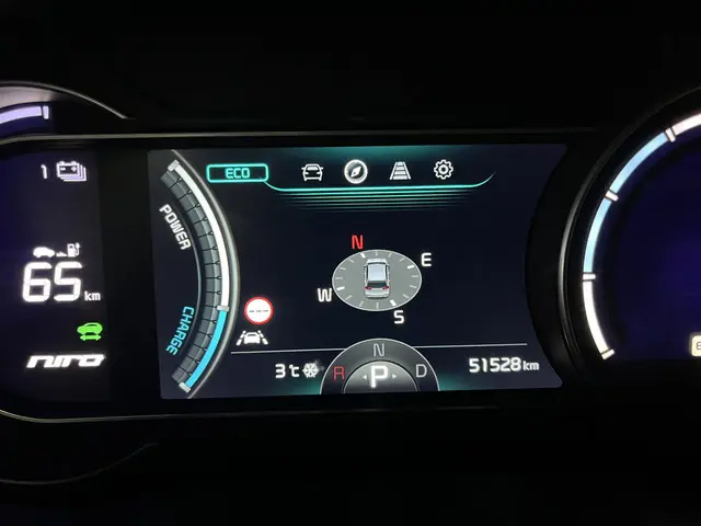 Kia e-Niro ExecutiveLine 64 kWh 2020 Elektrisch 41