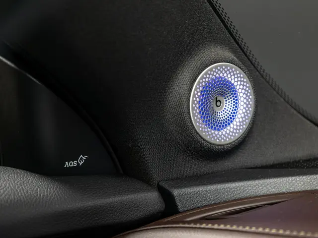 Smart #3 Premium 66 kWh 2025 Elektrisch 10