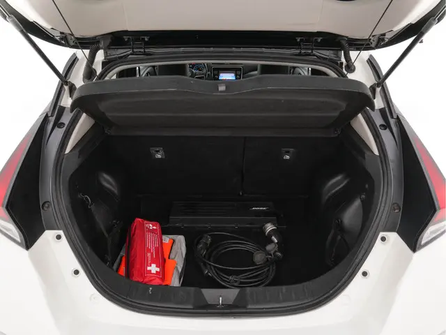 Nissan Leaf Tekna 40 kWh 2019 Elektrisch 10