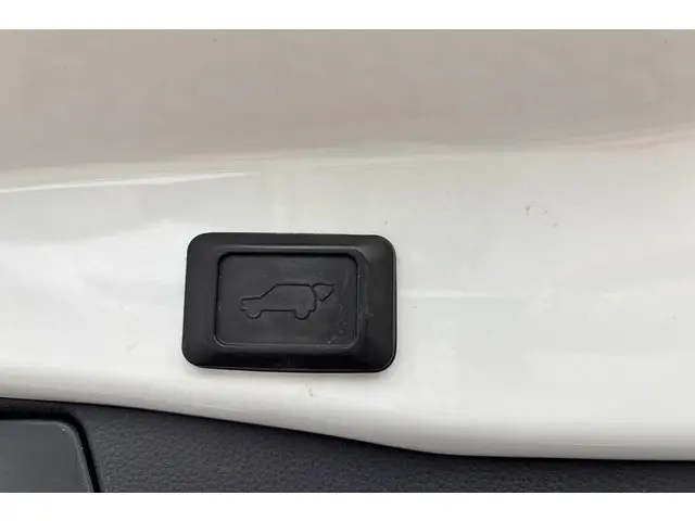 Toyota RAV4 2.5 Hybrid AWD Bi-Tone 2019 Hybride Benzine 49