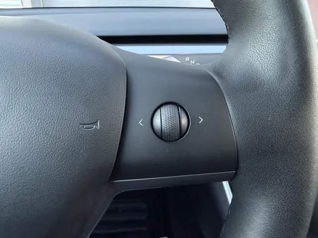 Tesla Model 3 Standard RWD Plus 60 kWh 2020 Elektrisch 12