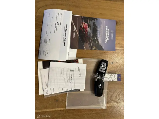 Ford Mustang Mach-E RWD 75 kWh 2021 Elektrisch 22