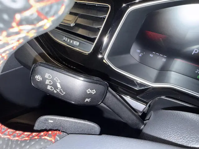 Volkswagen Polo 2.0 TSI GTI 2024 Benzine 25