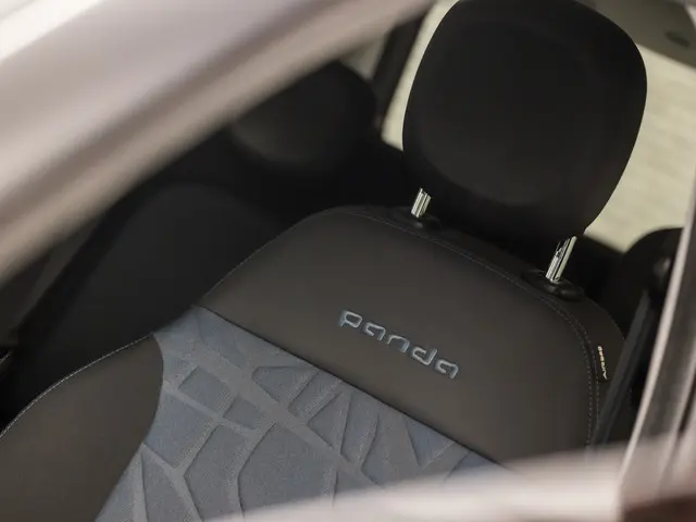 Fiat Panda 1.0 Cross Sport 2020 Benzine 34