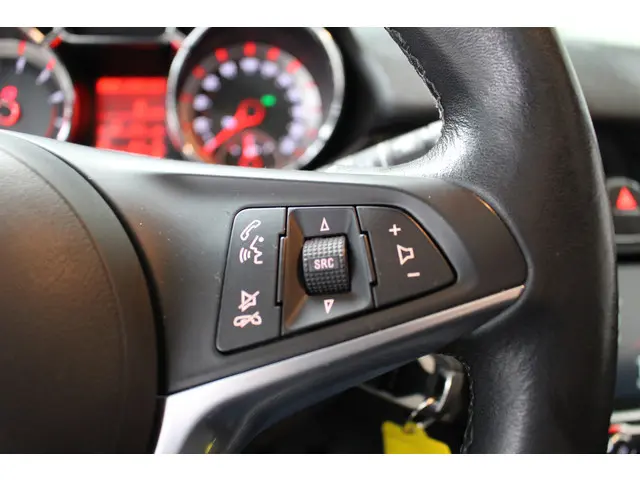 Opel ADAM 1.4 Rocks Automaat 2017 Benzine 16