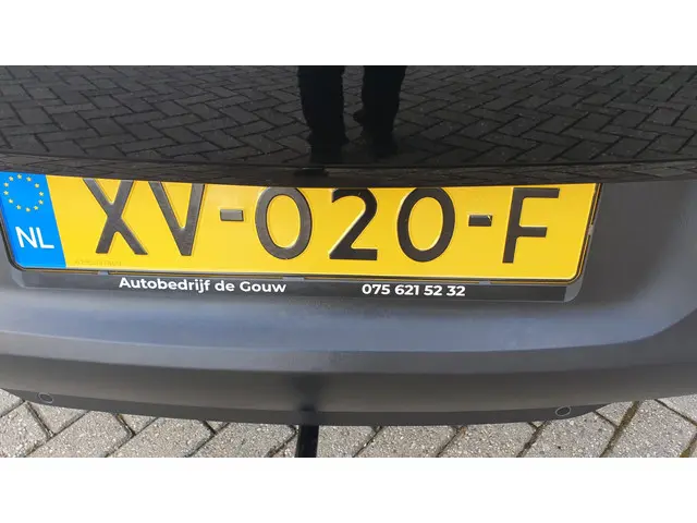 Opel Grandland X 1.2 Turbo Business + 2019 Benzine 24