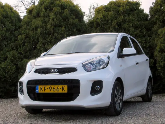 Kia Picanto 1.0 CVVT Navigator*Navi*Ecc*Camera* 2016 Benzine 4
