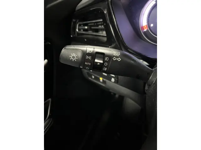 Kia e-Niro DynamicLine 64 kWh 2020 Elektrisch 26