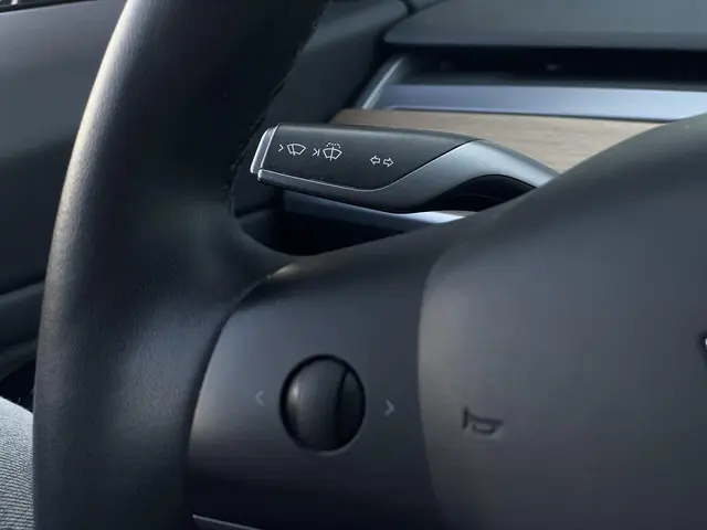 Tesla Model 3 Performance AWD 75 kWh 2019 Elektrisch 15