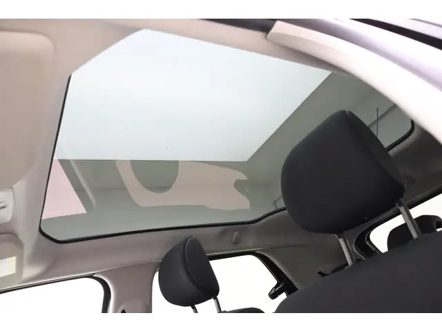 Citroën C4 Cactus 1.2 PureTech Shine 2019 Benzine 27