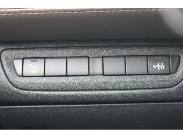 Peugeot 2008 1.6 VTi Féline 2013 Benzine 21