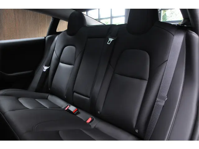 Tesla Model 3 Long Range AWD 75 kWh 2022 Elektrisch 30