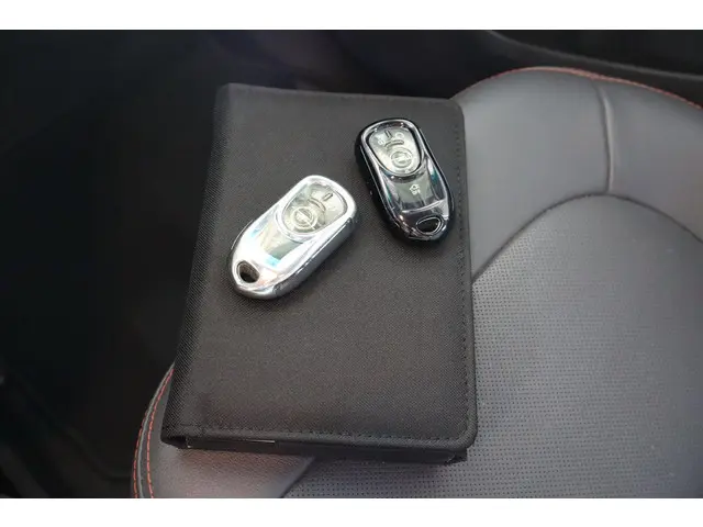 Opel Ampera-e Business executive 60 kWh 2020 Elektrisch 3