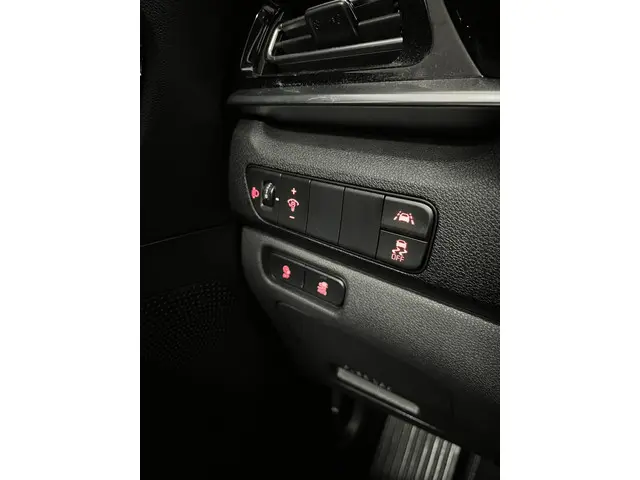 Kia e-Niro DynamicLine 64 kWh 2021 Elektrisch 32